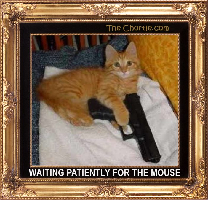 Waiting patiently for the mouse