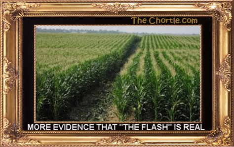 More Evidence that "The Flash" is real