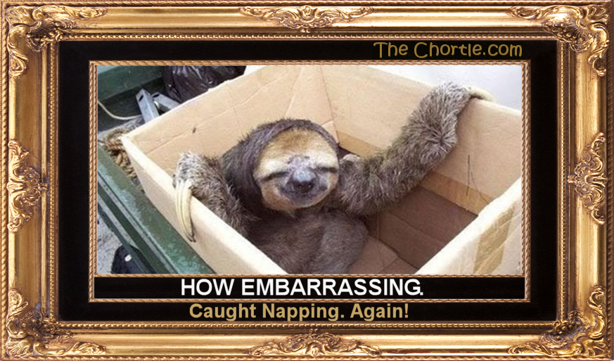 How embarrassing. Caught napping. Again.