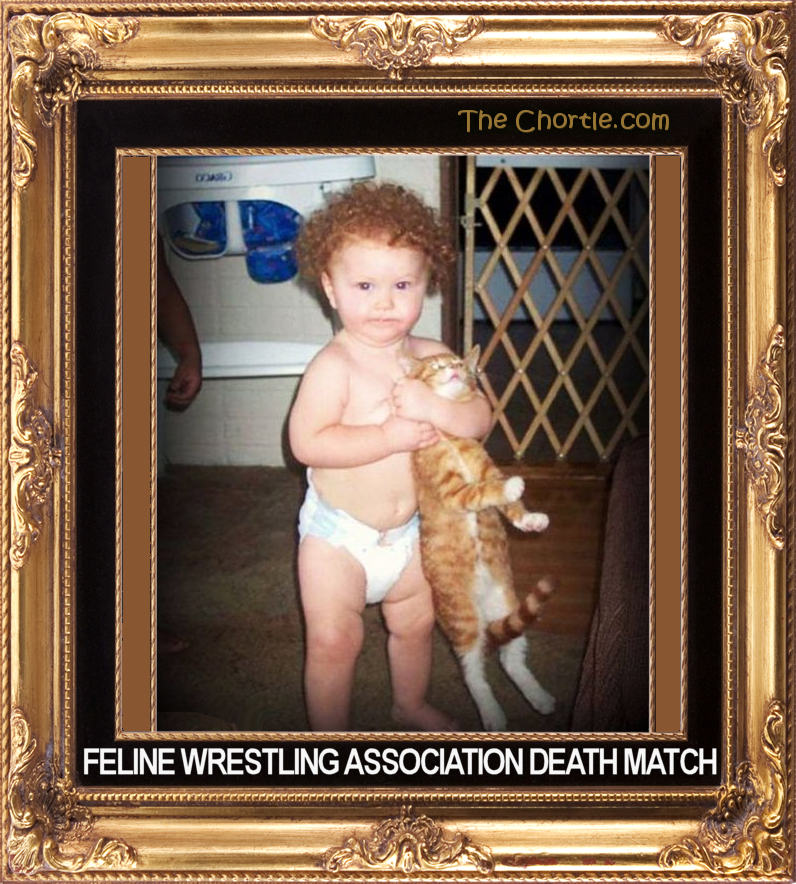 Feline Wrestling Association Death Match